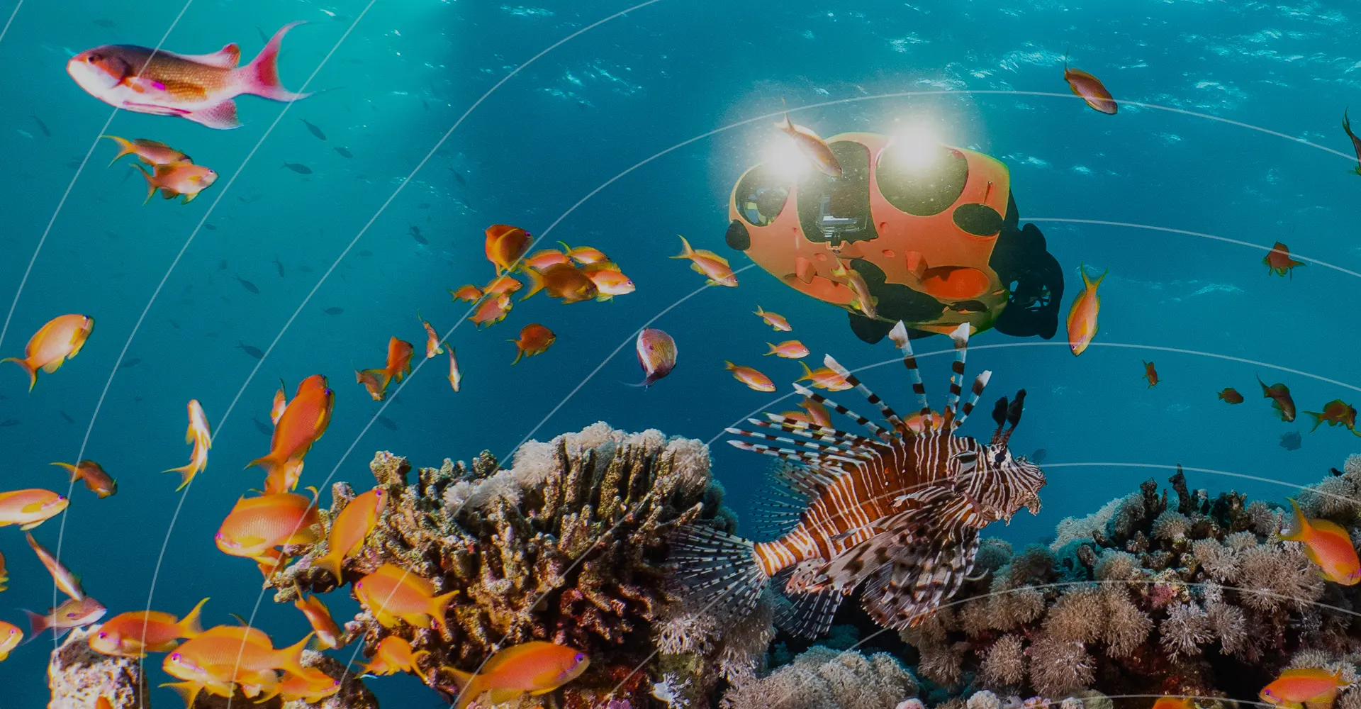 Underwater-Ecosystem-Inspections-With-Notilo-Plus-Aquatic-Drone